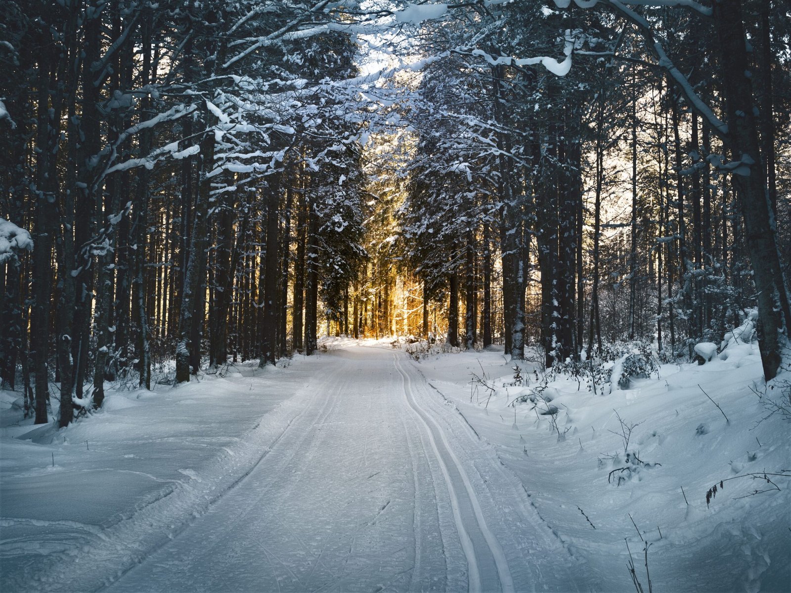 Minnesota frugal living guide - Twin Cities and Greater Minnesota